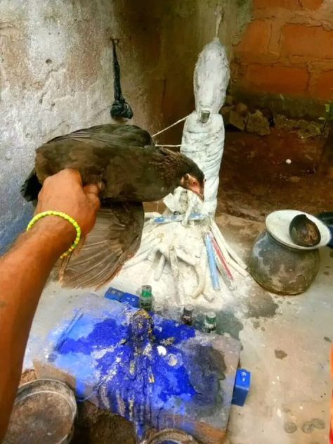 Marriage & Relationship Harmony